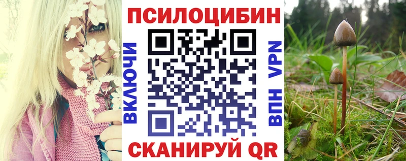 Галлюциногенные грибы мицелий  гидра сайт  Бутурлиновка 